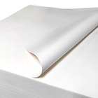 100% dziewiczy papier do drukowania bez włókien celulozowych do pomieszczeń czystych